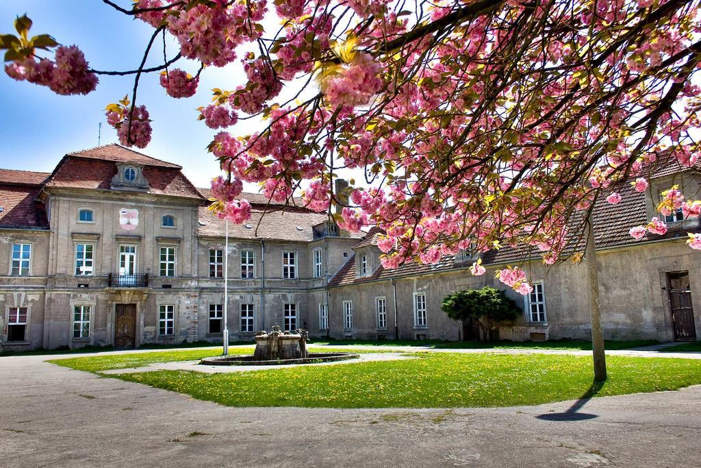 Gaestehaus Schloss Plaue Brandenburg  Eksteriør bilde